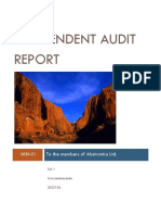 Independent Audit Report CIA 1 (2)