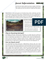 Rainforest Deforestation Student Worksheet