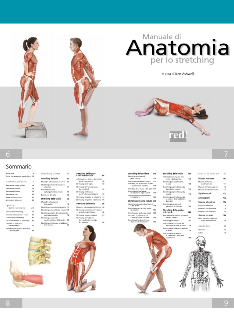 STRETCHING | PDF