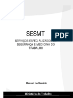 Sesmt Manual Do Usuario