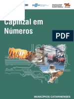 Capinzal em Números