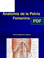 Anatomia Genital Femenino