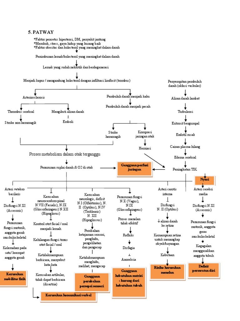 Patofisiologi Stroke dan Kolesterol | PDF