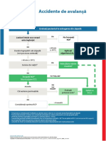 Poster SpecCircs Avalanche Accident Algorithm Ro AVALANSA