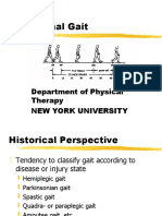 Abnormal Gait: Department of Physical Therapy New York University