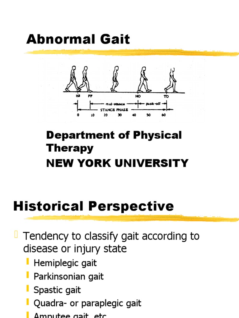 Abnormal Gait Department Of Physical Therapy New York University Pdf
