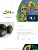 Brand Manual: World Avocado Organization