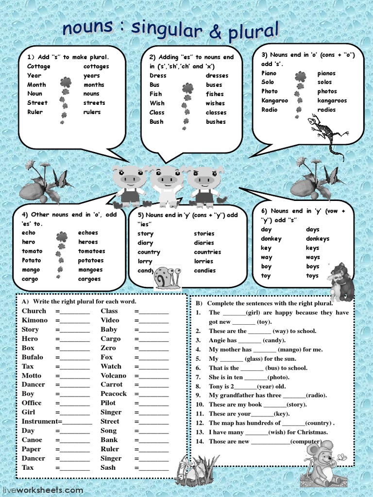 Singular and Plural | PDF | Languages | Grammar