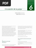 Mapa-Patron Dippr-Tratamiento Hta | PDF | Hipertensión | Presión sanguínea