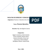 Proceso Ejecutivo.