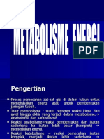 Kuliah 2. Metabolisme Energi