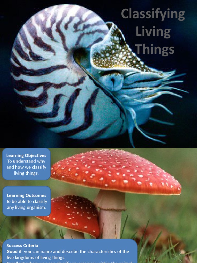 Classifying Living Things | PDF | Life Sciences | Biology