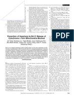 Prevention of Apoptosis by Bcl-2: Release of Cytochrome C From Mitochondria Blocked