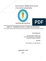 Foro #1 - Criterios de Clasificacion de Malezas