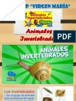 Invertebrados