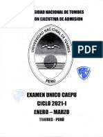 Examen Caepu - 31.03.2021