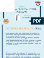 Sistema Procesal Peruano - Daniel Calderón Salas - (Mi BB)