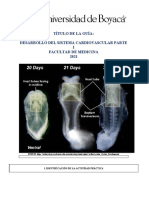 Guia Desarrollo Del Sistema Cardiovascular