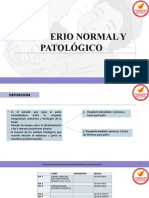 Puerperio Normal y Patologico 3