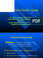 Insuficiencia Renal Aguda