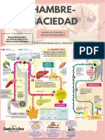 El hipotálamo y la regulación del hambre