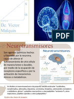 Presentacion Neurotransmisores