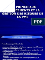 GESTION RIQUE Principaux Financements de La PME