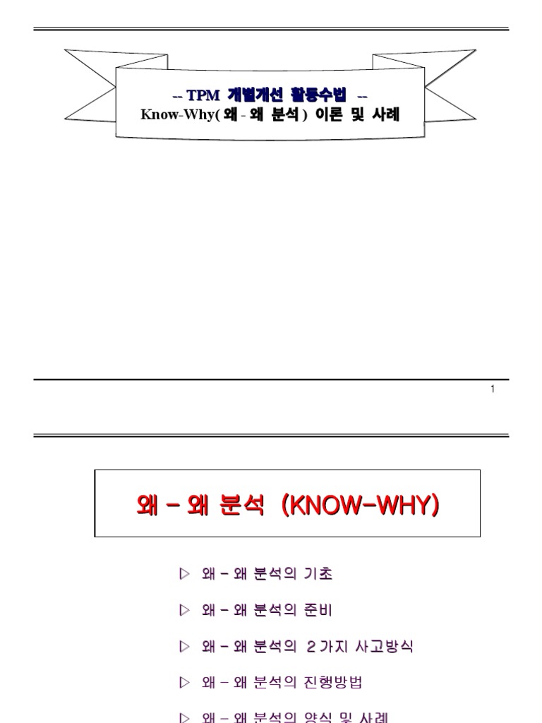 5WHY 분석법 문제 해결의 시작 근본 원인 분석 기법