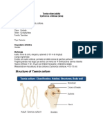 Taenia Solium