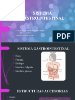 Sistema Gastrointestinal Presentación