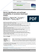 Species Identification and Antifungal Susceptibility of Uncommon Blood Yeast Isolates