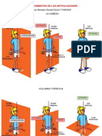 Movimientos ARTICULACIONES Ubicados