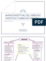 Mapa Conceltual Del Derecho Positivo y Natural