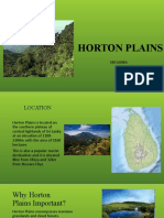 Horton Plains: Sri Lanka
