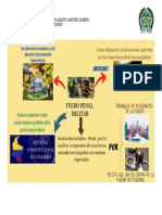 Mapa Mental Derecho Penal