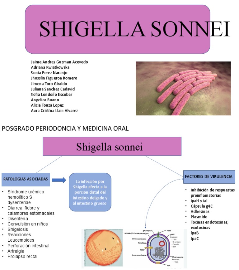 Shigella Sonnei. Periodoncia y Medicina Oral | PDF