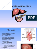 Liver: Anatomy & Functions