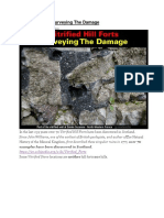 Vitrified Forts - Surveying The Damage