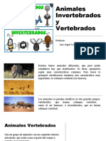 Animales Invertebrados y Vertebrados