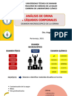  Examen Microscopico