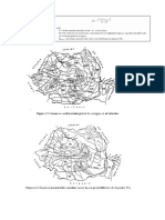 L5 2Rationala Reductionala Volumetric