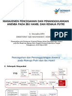 Manajemen Pencegahan Dan Penanggulangan Anemia PD Rematri Dan Bumil - Kalteng 21 Mart 2019