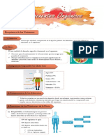 Tema 4 Bioquimica de Los Nutrientes