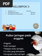 Download Kultur jaringan pada anggrek by skylight_cyber SN52064127 doc pdf