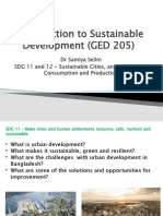 SDG 11 and 12 - Urban and Consumption Summer 19