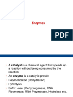 Lecture 6-Enzymes