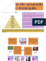 La jerarquía de valores según Max Scheler