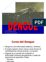 Curso de la enfermedad del Dengue