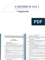 Curs 1 PLP Rugaciuni