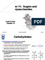 Chapter 11: Sugars and Polysaccharides
